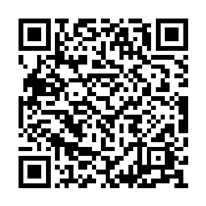 柳生这也是瞎客气……在场的强手全都看得出来二维码生成