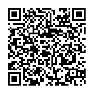 柳絮池塘淡淡风――这才是拥有底蕴的太夏豪门望族所追求的富贵风格二维码生成