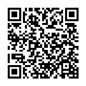 柳茹芸也知道在离天域界内部交手会给域界带来伤害二维码生成