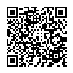 柳贵妃原本苍白的神色以肉眼可见的速度开始恢复了血色二维码生成