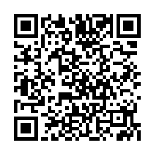 柳轻瑶那妩媚传神的眼睛里此时满是不满和娇嗔二维码生成