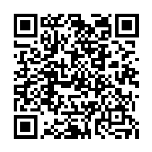 柳逸尘一下子就能赢来上一把输掉上千倍的赌注二维码生成
