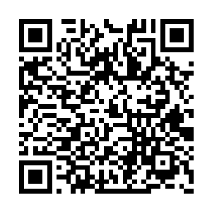 柳逸尘一拳头狠狠砸在了白璧无瑕的纤润玉臂上二维码生成