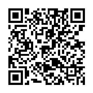 柳逸尘不知道该怎么解释厨房里那两个死人在干活二维码生成