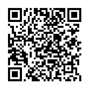 柳逸尘两个中年人和两个年轻人身旁放着的猎枪二维码生成