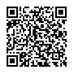 柳逸尘从第一小队的案子开始一共是三十个案子二维码生成