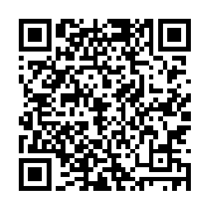 柳逸尘刚才刺入薛紫夜脸部的金针只有麻醉的作用二维码生成