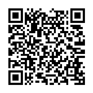 柳逸尘又拎着血淋淋变了形的不锈钢笤帚柄站起来二维码生成