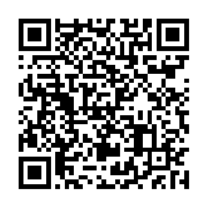 柳逸尘发现众人还都盯着他脑袋上的白莲剑域发呆二维码生成