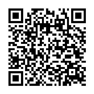 柳逸尘和季小薇来到了刚才看到那些神奇生物的地方二维码生成