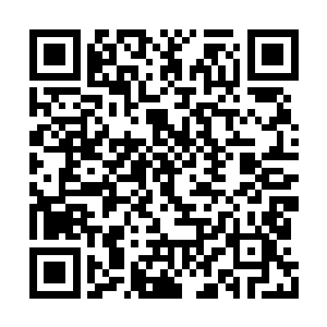 柳逸尘和魅风天一行人正在炼制布阵所需的材料二维码生成