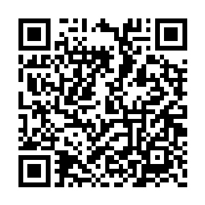 柳逸尘将胖妞儿抱着放进了一个大大的浴缸里面二维码生成