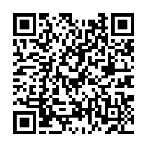 柳逸尘已经对这些选手进行了长达六个小时的训练二维码生成