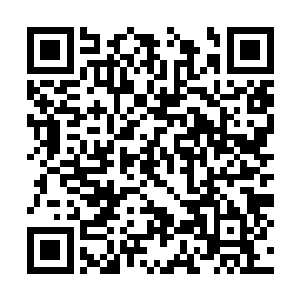 柳逸尘带着两个小家伙去吃了一顿正宗的浪都大餐二维码生成