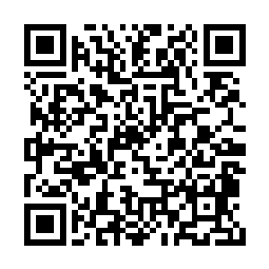 柳逸尘带着四女去一个刚刚开业的度假村去玩儿二维码生成