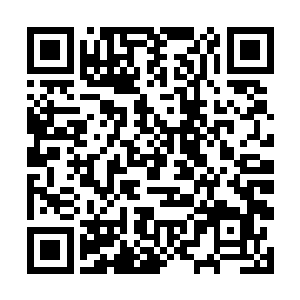 柳逸尘当即任命了一个车间主任和和一个办公室主任二维码生成