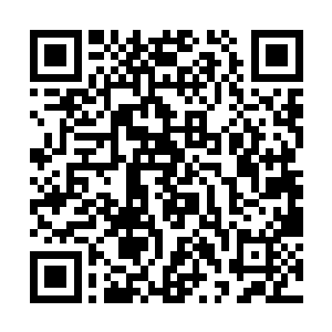 柳逸尘想看看银发少女身体里是否真的藏着什么力量二维码生成