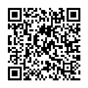 柳逸尘把一张卡片和身份卡递给了守门的皮甲侍卫二维码生成