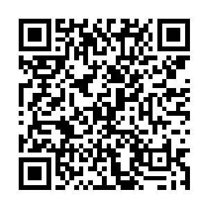 柳逸尘把十多张有这个美女的照片都给播放了一遍二维码生成