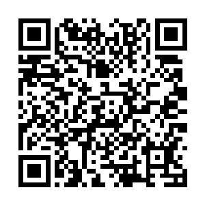 柳逸尘拿过丈母娘手里的纸巾帮她擦掉残留的泪水二维码生成