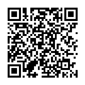 柳逸尘正在学院里想着怎么能把美食分院给管理的有声有色二维码生成
