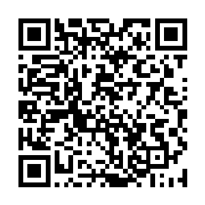 柳逸尘没有想到土轮堂的后山会有这么多的珍稀药材二维码生成