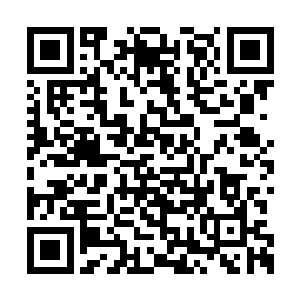柳逸尘没有说在失踪人口家里发现神秘树的事情二维码生成