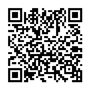 柳逸尘淡淡的看着那个看起来十分寻常普通的男子二维码生成