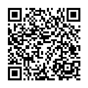 柳逸尘用阵法成功的挡住了来自黑暗世界的怪物们二维码生成