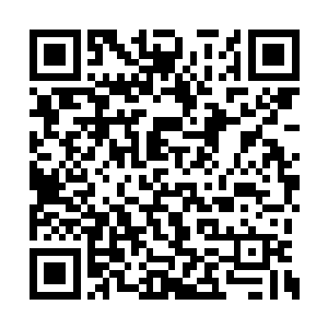 柳逸尘看着旅馆后面的茂密的丛林和陡峭的山崖二维码生成