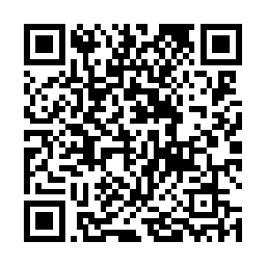 柳逸尘看着眼前被黑色雾气包裹吞噬掉了光芒的夜明珠二维码生成
