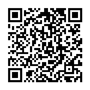 柳逸尘真有点接受不了她这么正儿八经的跟自己道歉二维码生成