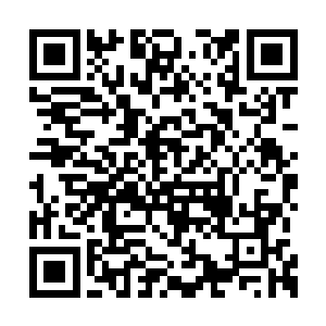 柳逸尘突然间抓起那颗红彤彤的果实扔进了嘴里二维码生成