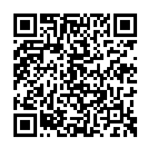 柳逸尘笑着在地面上扑了一些包装瓷砖的纸壳箱二维码生成