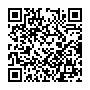 柳逸尘花两万块钱租了一个工厂的废弃冷库放粮食二维码生成