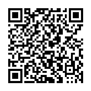 柳逸尘认真仔细的用透视眼把整个迷梦城都给找遍了二维码生成