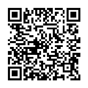 柳逸尘让飞船降落在一个非常庞大的白色星球上二维码生成