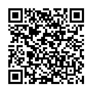 柳逸尘还给每个人都打包了一些东西放在了后备箱里二维码生成