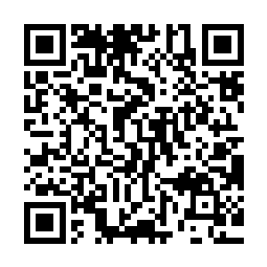 柳逸尘这个时候已经和第五兄弟离开了那个收拾干净的庞大空间二维码生成
