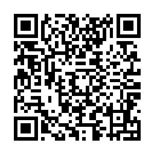 柳逸尘随手将三个男人扔进了黑咕隆咚的安全通道二维码生成