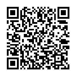 柳逸尘飞速的用金针封住南鹰王弹孔附近的穴道二维码生成