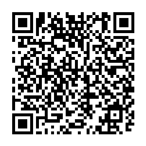 柳非笑几人也同时想起了昨日被小穹忽然爆出来的力量所毁灭的夜氏家族二维码生成