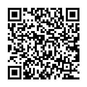 柳非笑几人的哀嚎通过通讯器清晰的传入夜染的耳中二维码生成