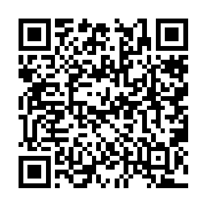 柳风有意无意朝潜伏着的几名高手所在的地方望去二维码生成