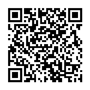 柴霸之前担心这样的攻击会被沈凡以身法躲过一直留手二维码生成