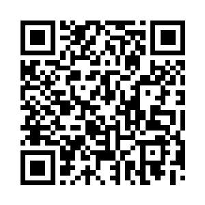 树干根本来不及消化这猛地一踹所带来的冲击二维码生成