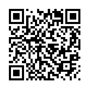 树干眼睛内射出的绿芒与紫光碰撞二维码生成