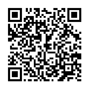 树木生长的情况已经和数十里外的地方俨然不一样了二维码生成