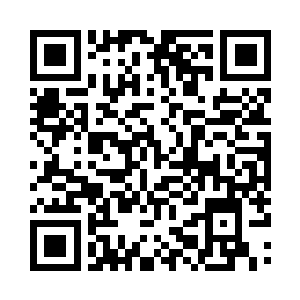 树杈上挂满了小牛犊子般大小的胡蜂窝巢二维码生成