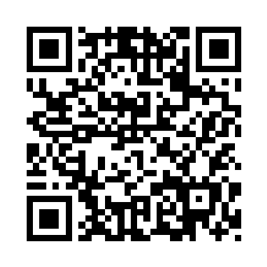 树林中的灵兽一只接着一只地冲出来二维码生成